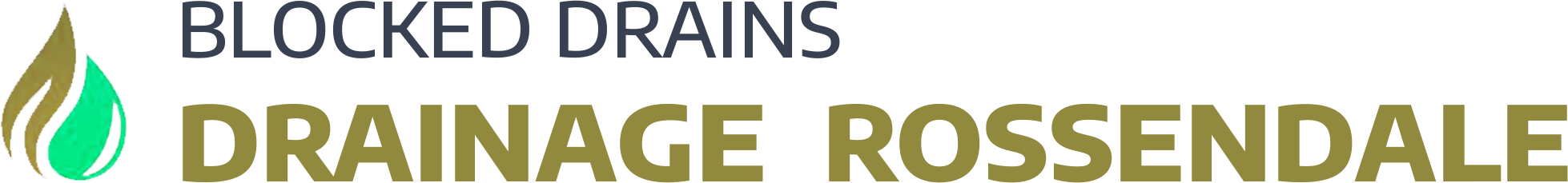 website logo